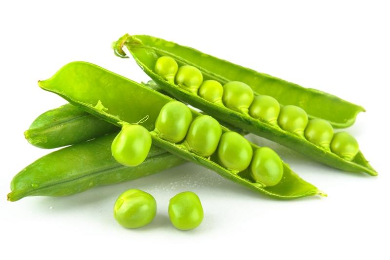 800x534 huge collection of 'peas drawing' download more than images - Peas Drawing