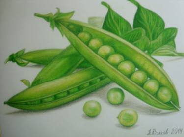 375x279 peas drawing - Peas Drawing