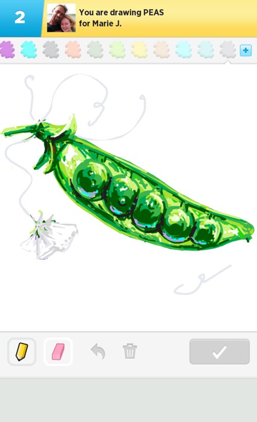500x822 peas drawings - Peas Drawing