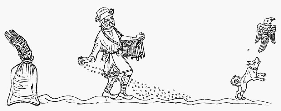 900x358 Peasant Sowing, Drawing - Peasant Drawing