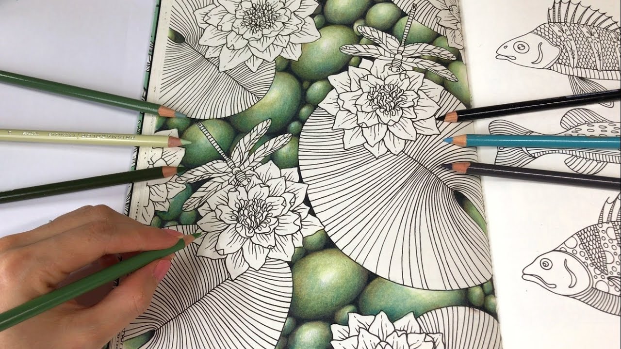 1280x720 pebble stones drawing water lilies - Pebble Drawing