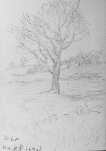210x300 John Harrison - Pecan Tree Drawing