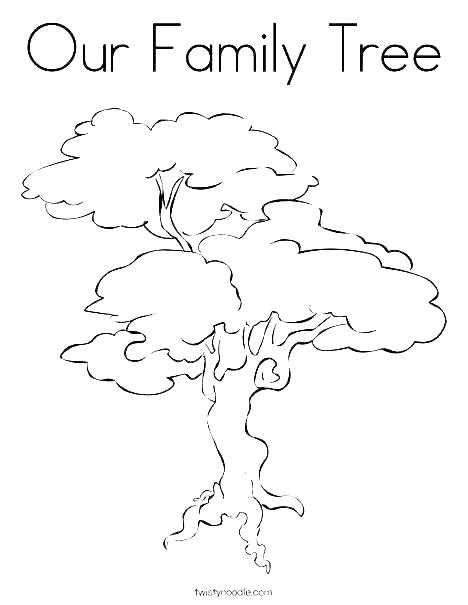 468x605 Pecan Tree Coloring - Pecan Tree Drawing