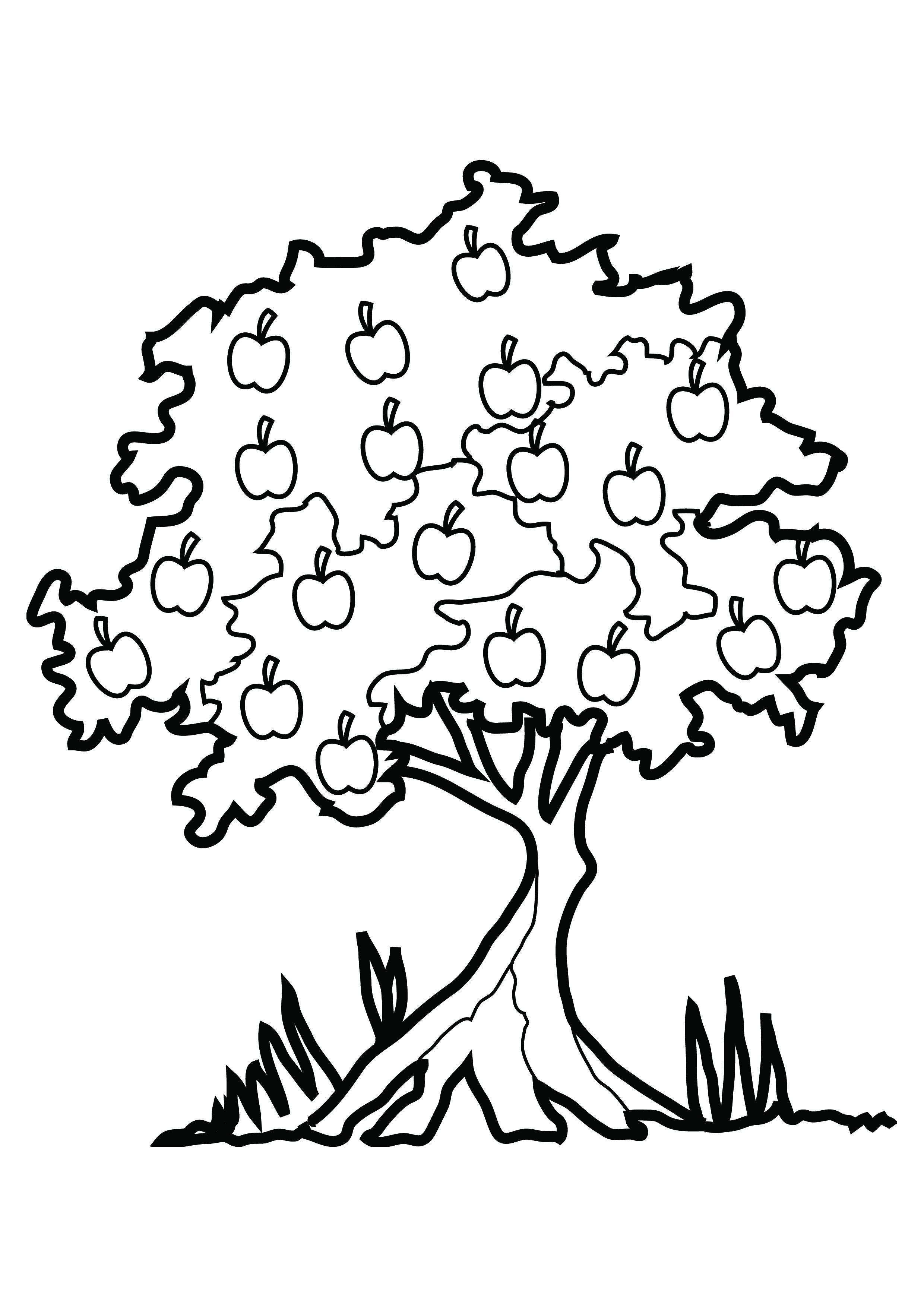 2480x3508 Gum Tree Coloring Pages - Pecan Tree Drawing