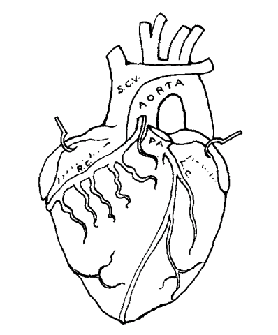 398x480 fred wu, md on twitter yes, after edward bland, paul dudley - Pediatrician Drawing