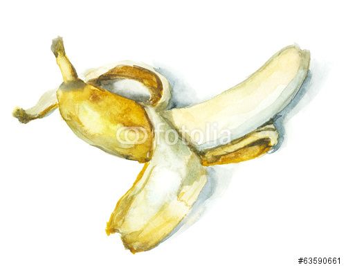 500x387 Download The Royalty Free Photo Half Peeled Banana, Watercolor - Peeled Banana Drawing