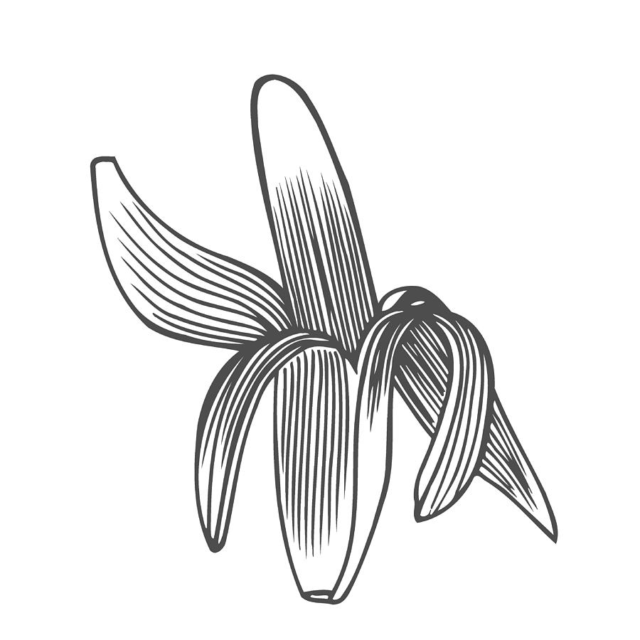 900x900 Drawing Of A Peeled Banana Drawing - Peeled Banana Drawing
