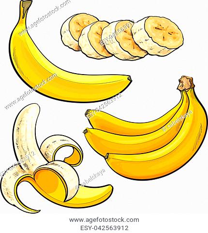 430x481 Drawing Of A Peeled Banana Stock Photos And Images Age Fotostock - Peeled Banana Drawing