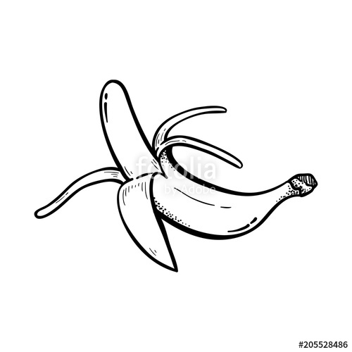 500x500 Peeled Banana Hand Drawn Illustrations Detailed Line Art Drawing - Peeled Banana Drawing