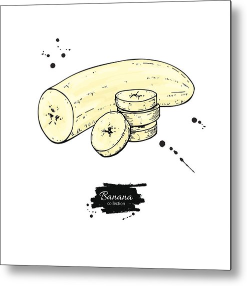 493x572 Banana Sliced And Peeled Piece Vector Drawing Isolated Hand Drawn - Peeled Banana Drawing