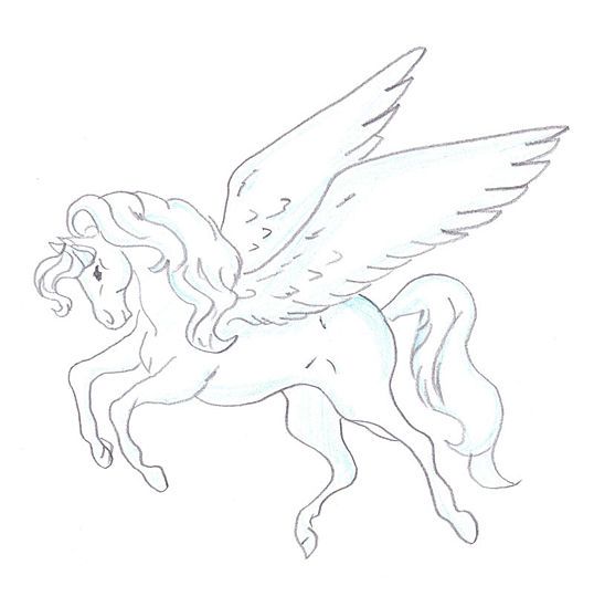 538x549 how to draw a pegasus steps - Pegasus Drawing