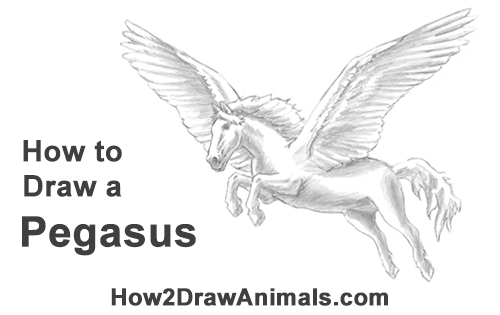 500x315 how to draw a pegasus - Pegasus Drawing