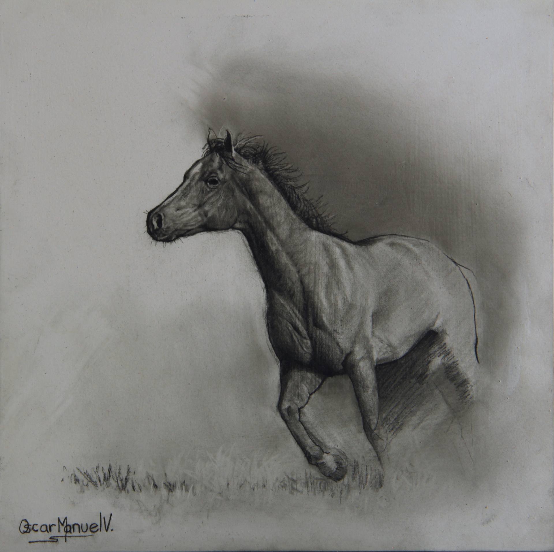 1920x1910 pegasus drawing - Pegasus Drawing