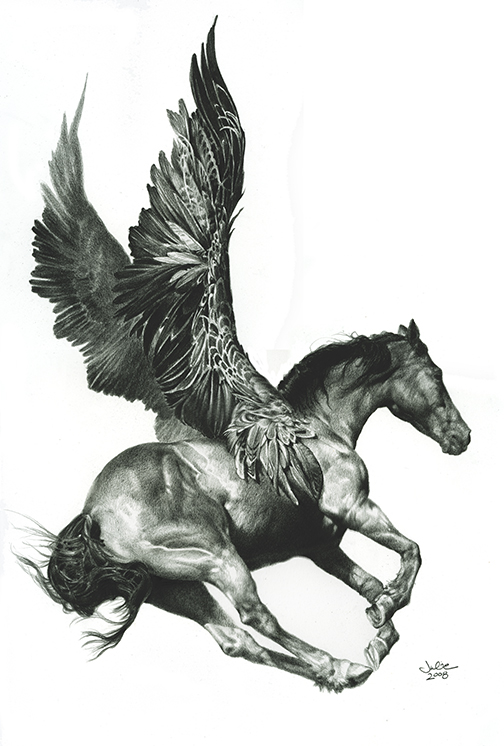 504x746 pegasus - Pegasus Drawing