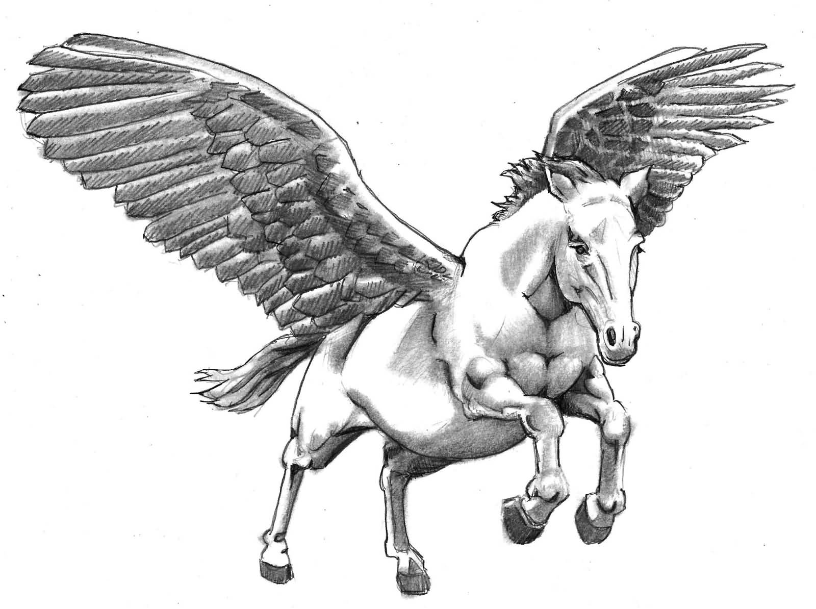 1600x1194 famous pegasus tattoo designs - Pegasus Drawing