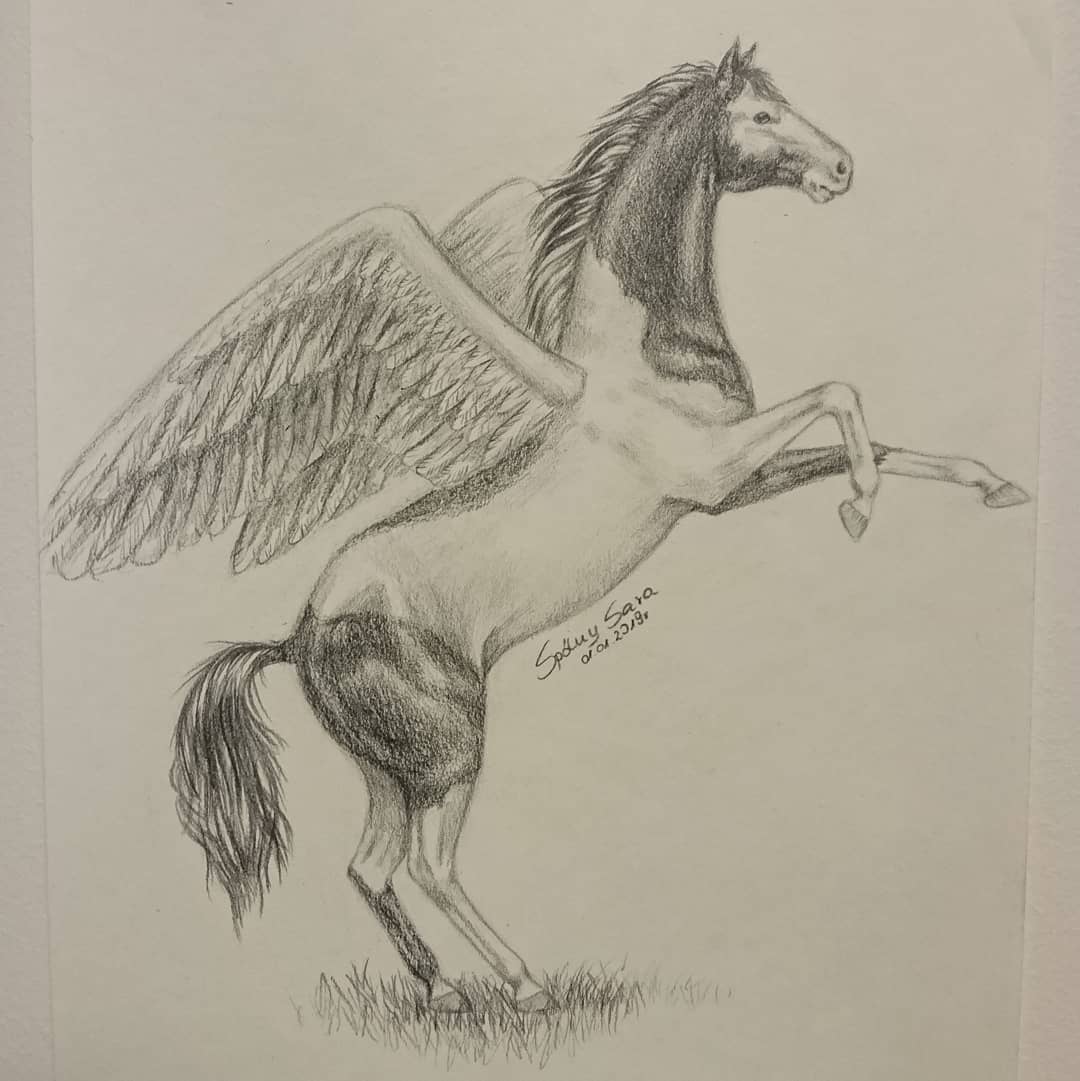 1080x1081 pegasus drawing best drawing skill - Pegasus Drawing