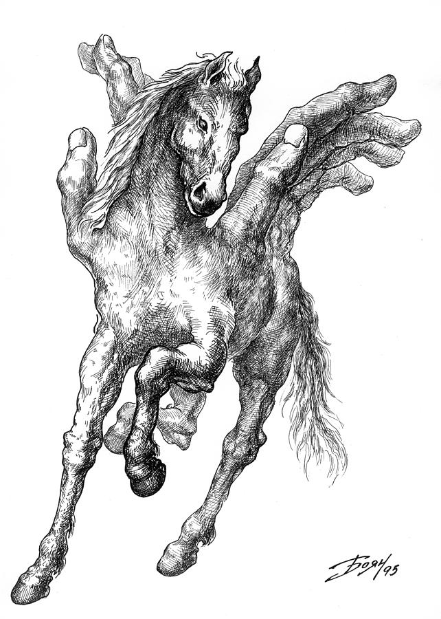 642x900 pegasus drawing - Pegasus Drawing