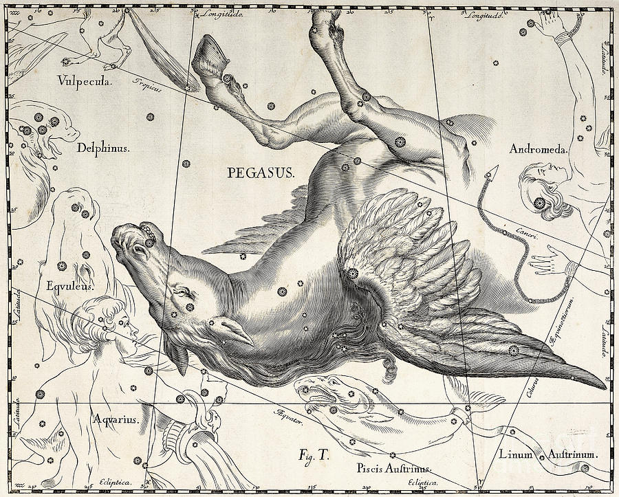 900x723 pegasus drawing - Pegasus Drawing