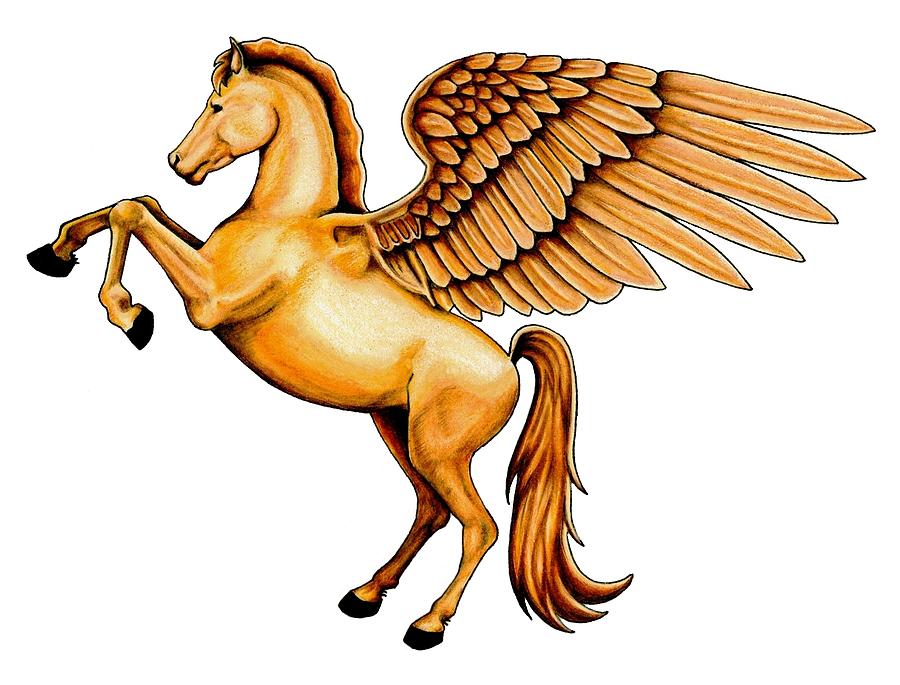 900x685 pegasus drawing - Pegasus Drawing