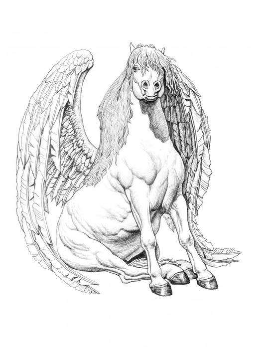 530x714 pencil drawing pegasus wall mural - Pegasus Drawing