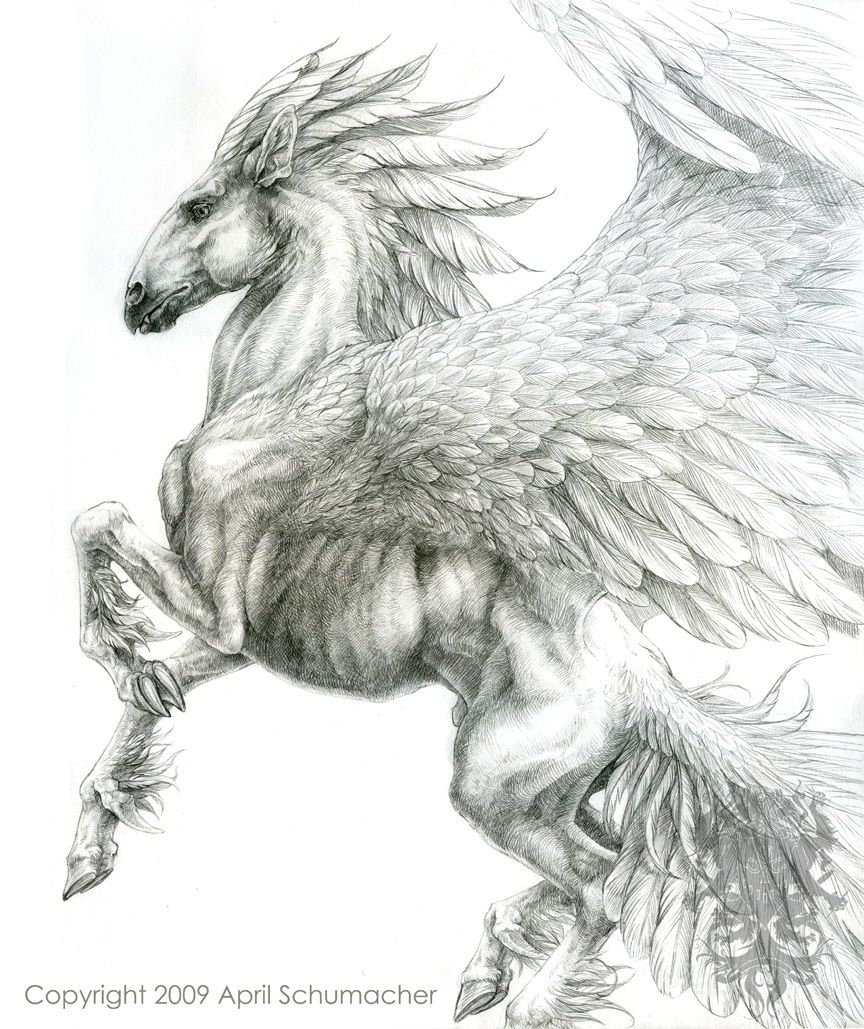 864x1029 this pegasus is a little to souped up for my liking but - Pegasus Drawing