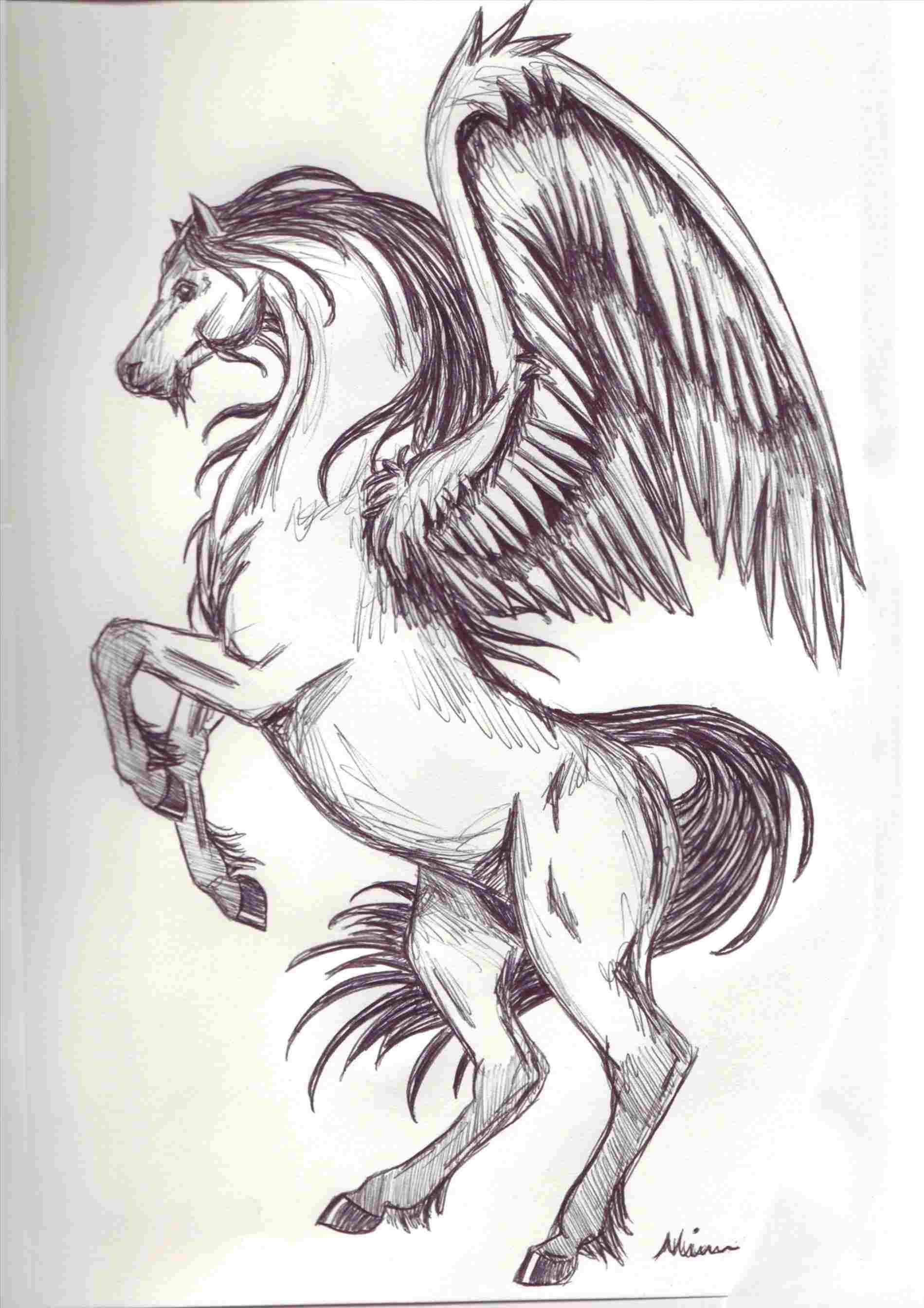 1899x2688 easy pegasus drawing - Pegasus Drawing