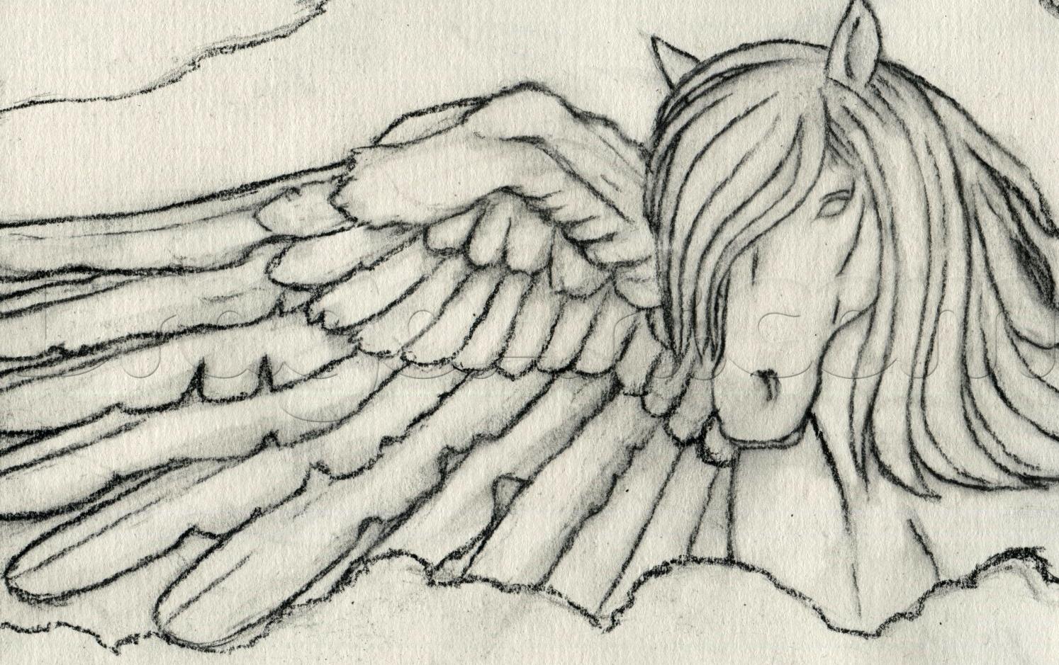 Картинки лошадей красивые с человеком для срисовки с крыльями