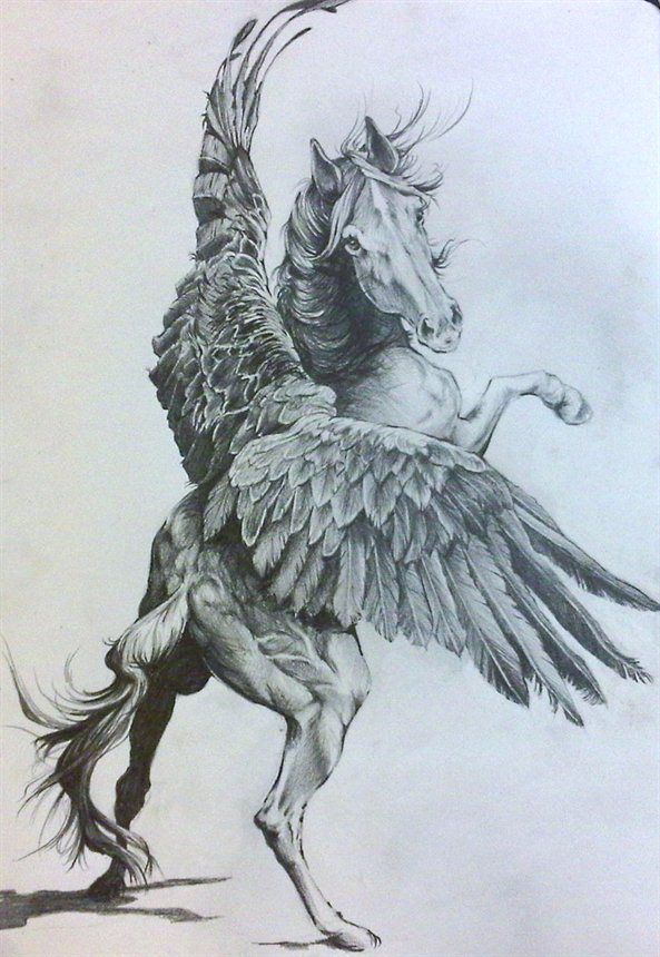 593x860 fly and be free, my sweet horse pegasus - Pegasus Flying Drawing