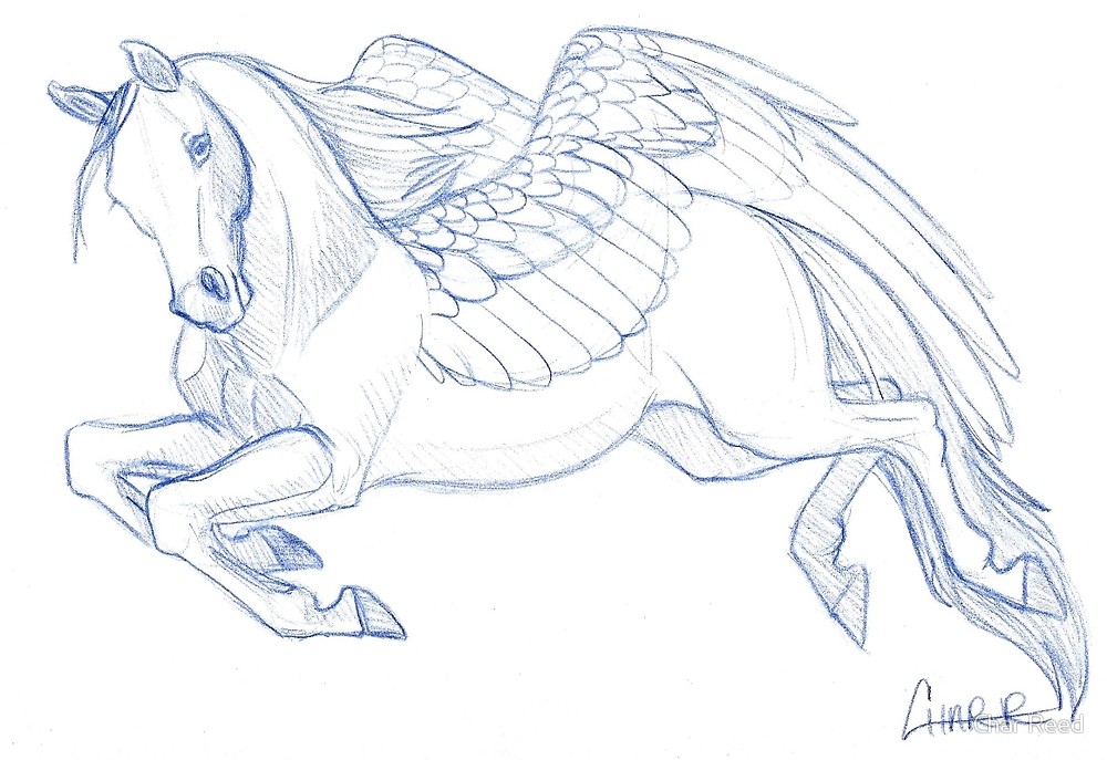 1000x687 flying pegasus sketch - Pegasus Flying Drawing