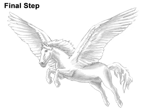 500x386 how to draw a pegasus flying cash coloring - Pegasus Flying Drawing
