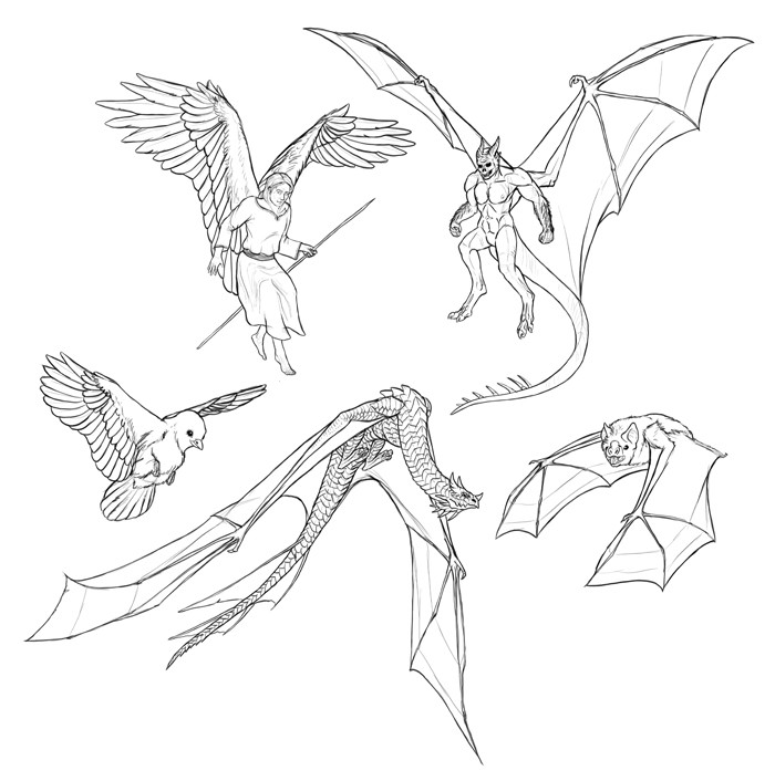 flying poses drawing