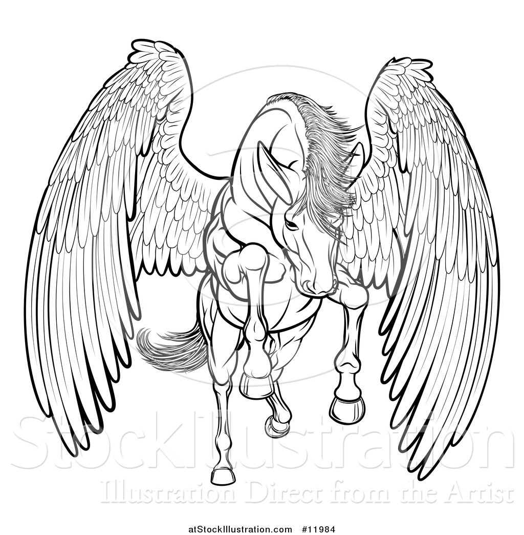 1024x1044 vector illustration of a black and white majestic winged horse - Pegasus Flying Drawing