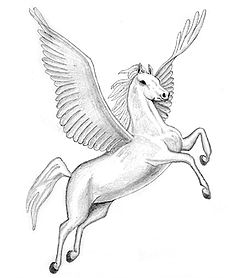 235x278 copy of pegasus trus sponsors - Pegasus Flying Drawing