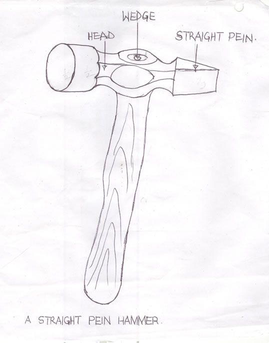 538x685 Technical Drawing Mayjune - Pein Drawing