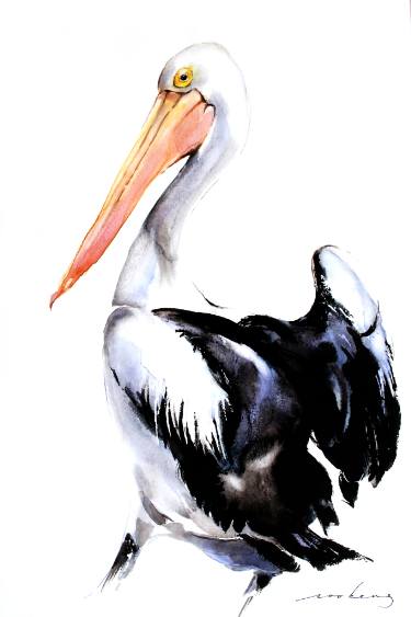 375x563 pelican wonder drawing - Pelican Drawing