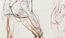 222x131 drawing the pelvis and upper leg new masters academy - Pelvis Drawing