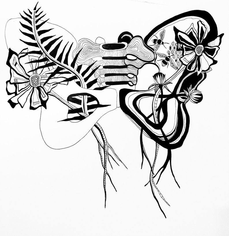 794x818 pelvis with poppies and bees drawing pen and ink black and etsy - Pelvis Drawing