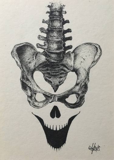375x527 smiling pelvis drawing - Pelvis Drawing