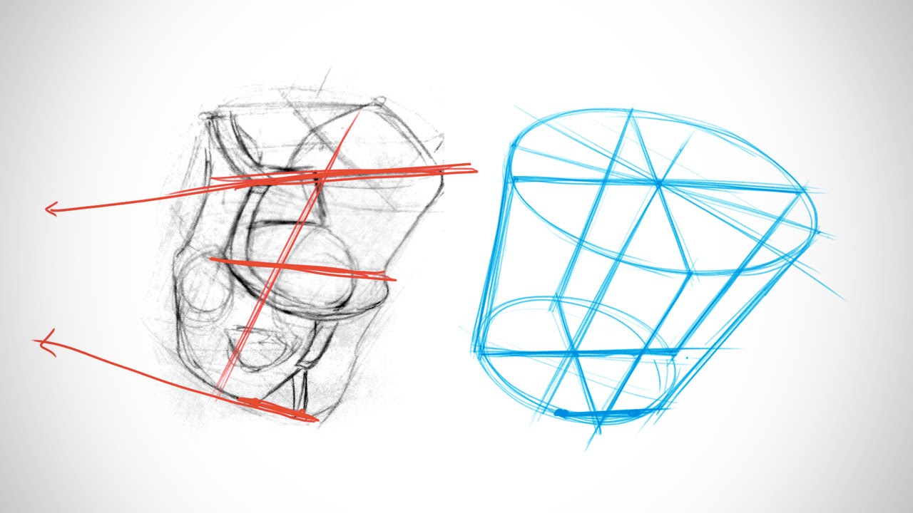 1280x720 anatomy critiques - Pelvis Drawing