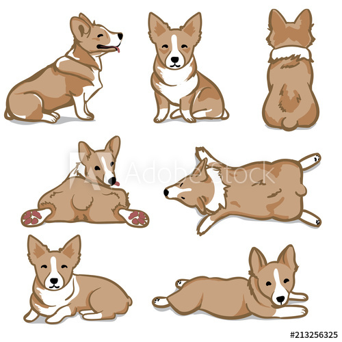 Royalty Free How To Draw A Corgi Face Easy - hd wallpaper