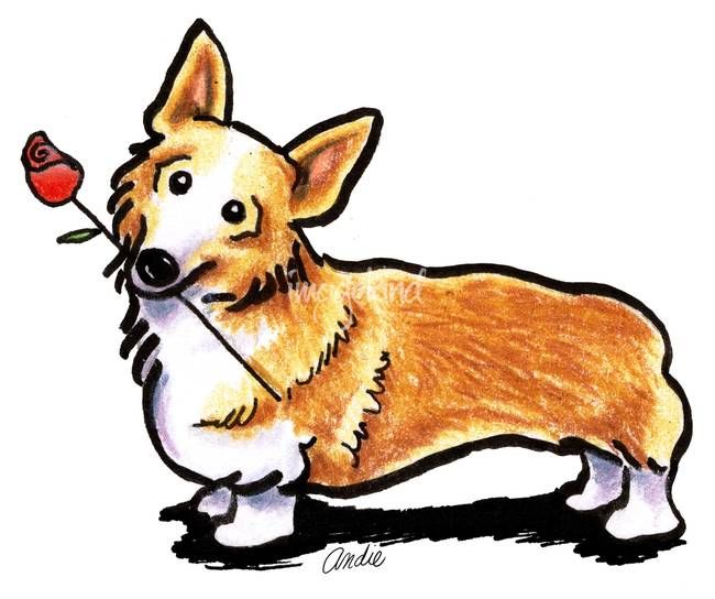 650x544 corgi drawing - Pembroke Welsh Corgi Drawing