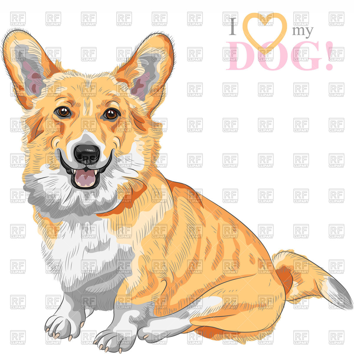 1200x1200 Color Sketch Of The Dog - Pembroke Welsh Corgi Drawing