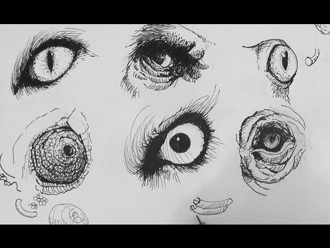 480x360 Pen Ink Drawing Tutorials How To Draw Realistic Animal Eyes - Pen And Ink Animal Drawings
