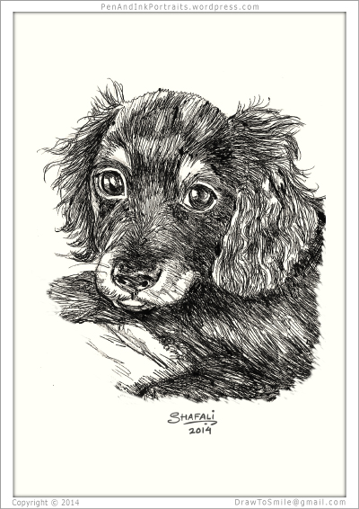 Pen And Ink Animal Drawings At Paintingvalley Com Explore Collection Of Pen And Ink Animal Drawings