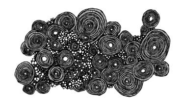 Pen And Ink Drawings