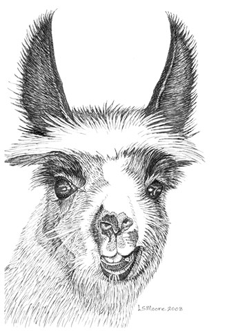 332x480 Leslie Moore - Pen And Ink Drawings