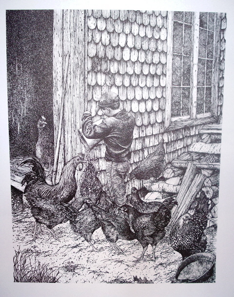 480x609 Chickens Pen Ink Print - Pen And Ink Drawings