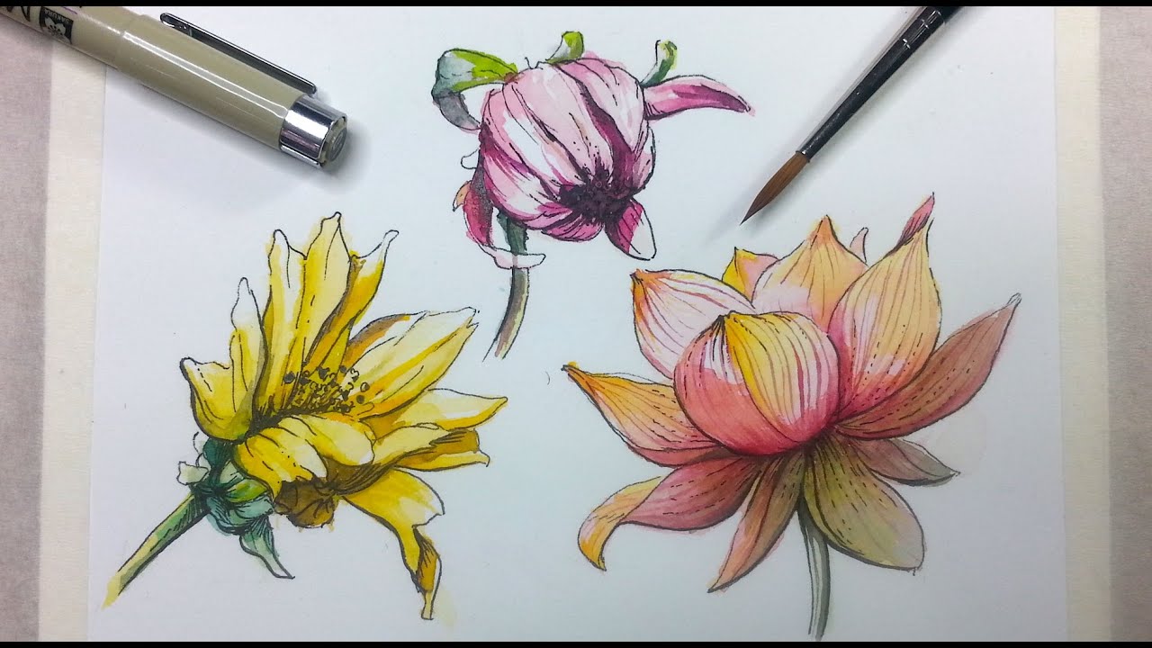 1280x720 How To Draw Paint Flowers With Ink And Watercolor Part - Pen And Ink Flower Drawings