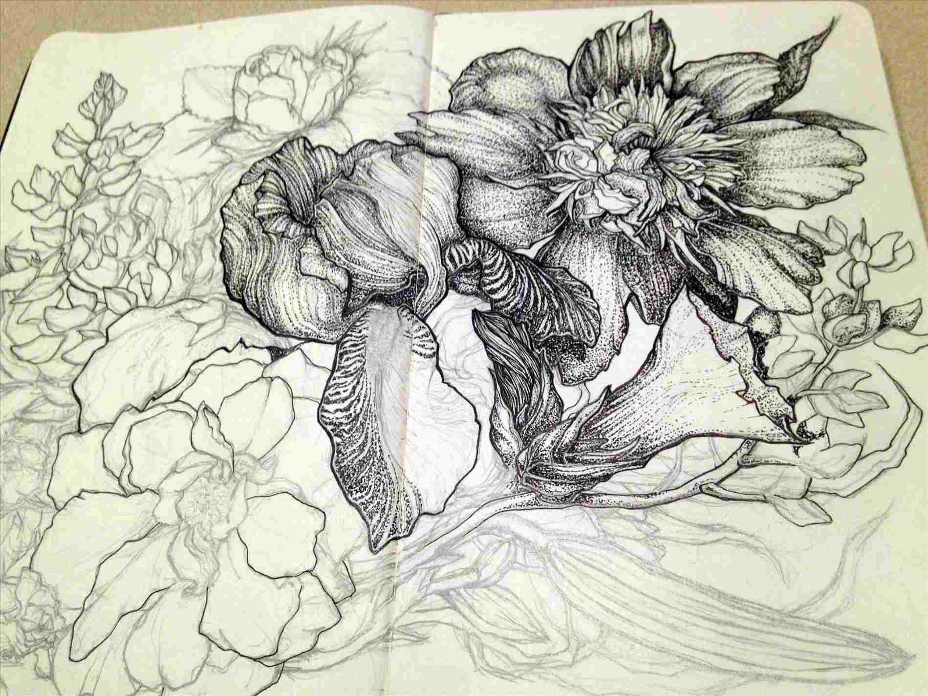 1899x1424 Pen And Ink Drawings Of Flowers - Pen And Ink Flower Drawings