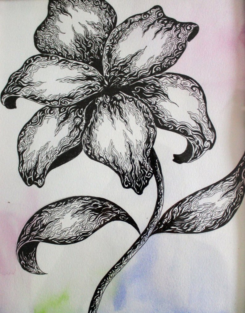 794x1013 Pen And Ink Flower Drawing Over Acrylic On Paper Framed Etsy - Pen And Ink Flower Drawings
